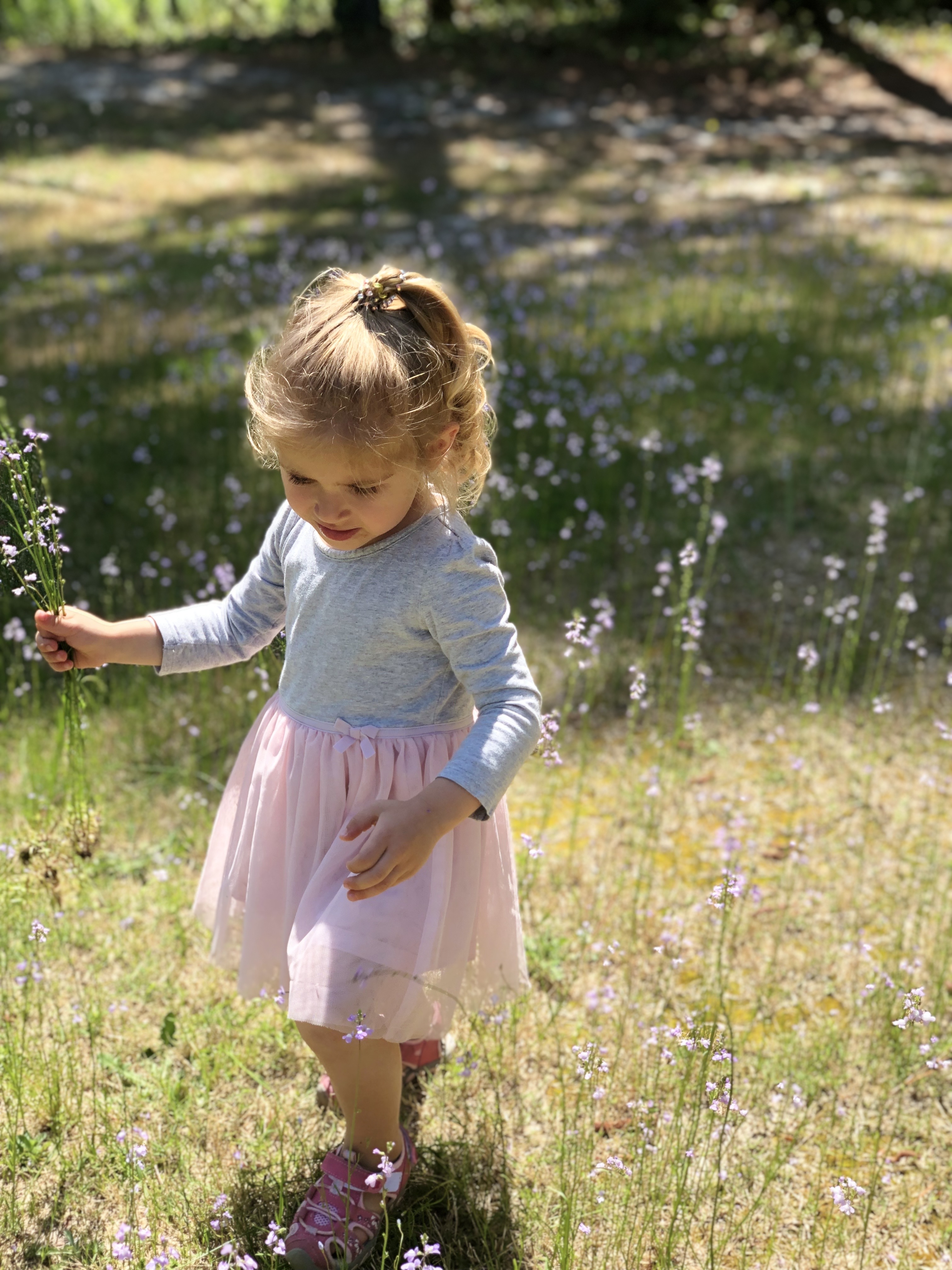 Image of a little girl in a field on wild flowers.