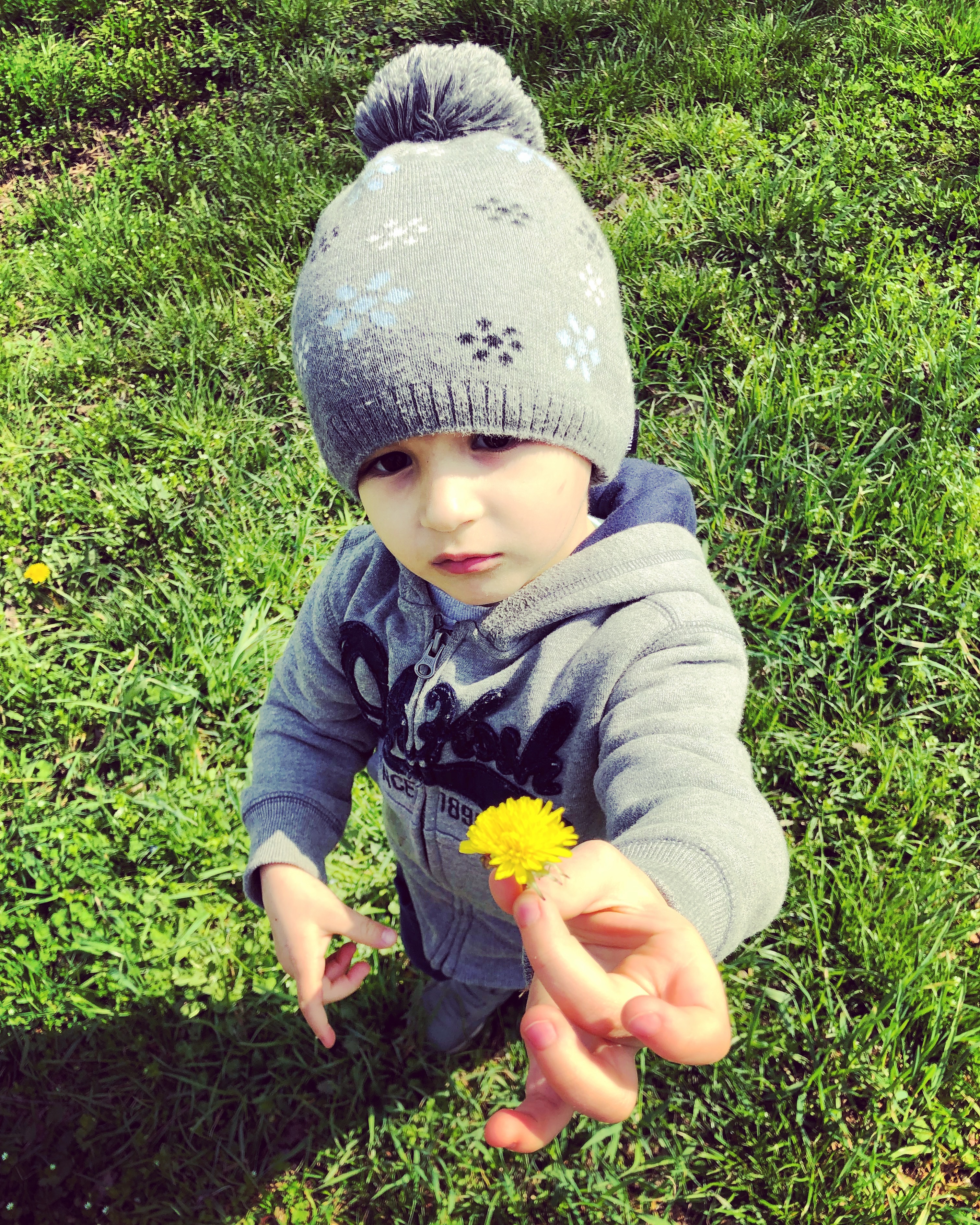 Image of a boy holding a daffoldil 